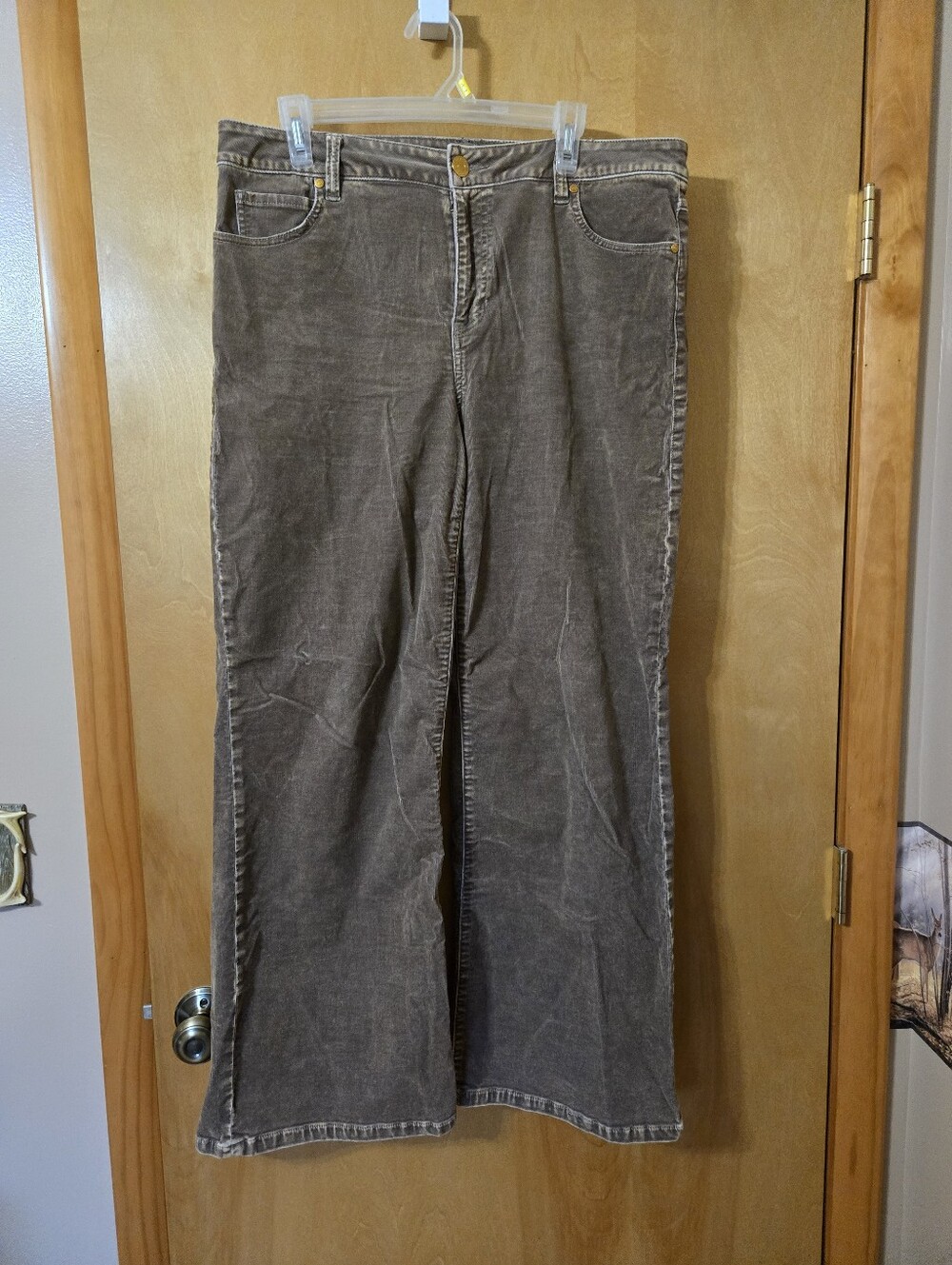 Cabi London Cords Size 12